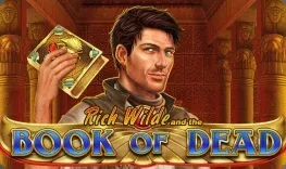 Book of Dead game artwork